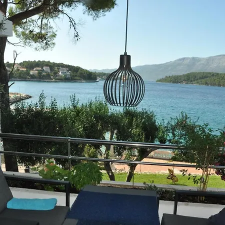 Olive Tree
