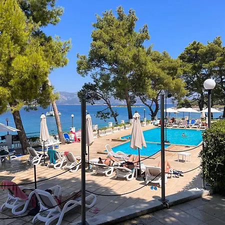 Olive Tree Apartman *